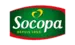 cat_socopa_1.png cat_socopa_1.png